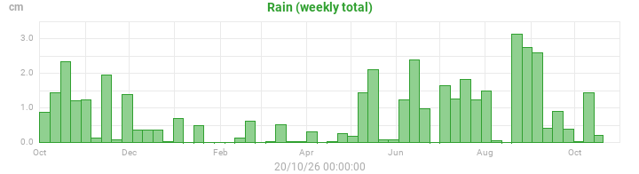 rain